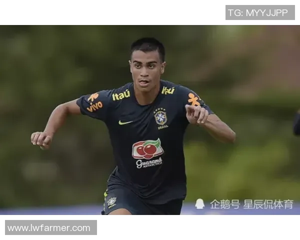 非洲足球未来新星的成长之路与全球赛场上的无限潜力展望